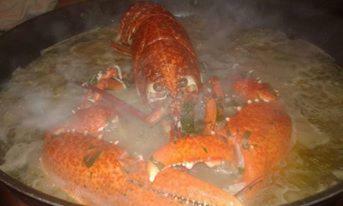 B&B Dal Pescatore Fažana Zewnętrze zdjęcie