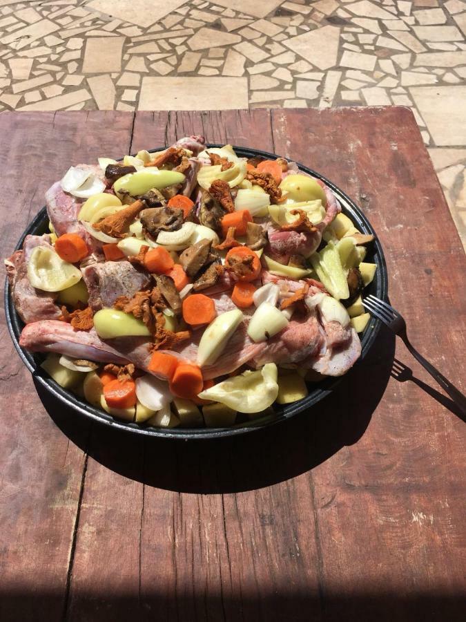 B&B Dal Pescatore Fažana Zewnętrze zdjęcie